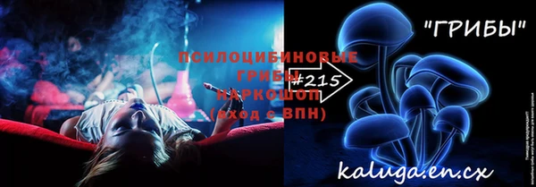 тгк Нея