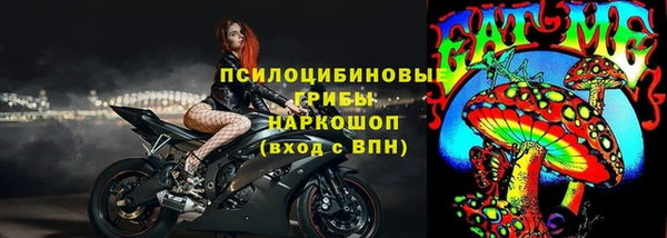 ешки Алзамай